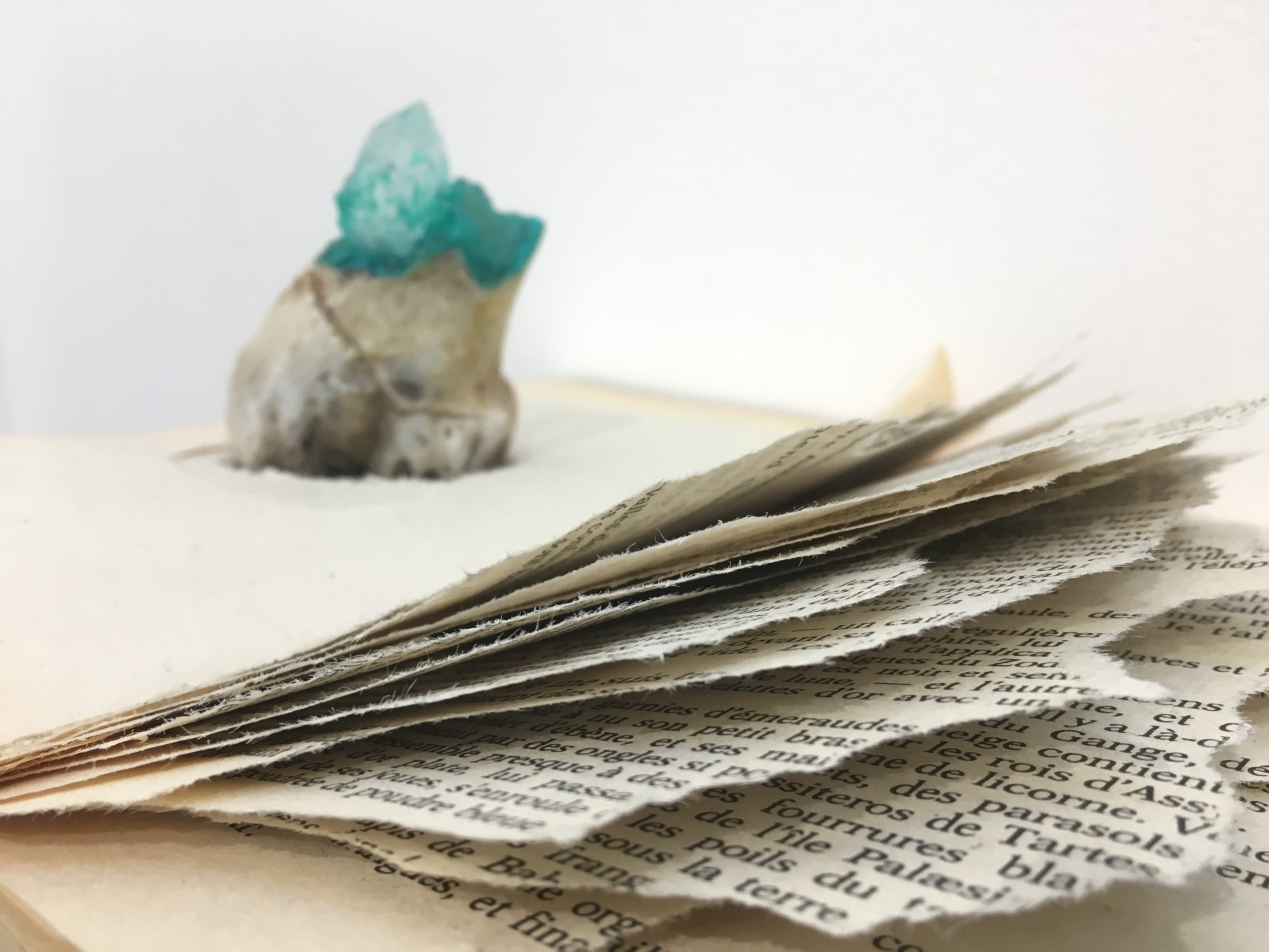 3 – Fossiles. Installation. Books, stone, bones, ink, thimble. Art Brussels. 2018. JPG