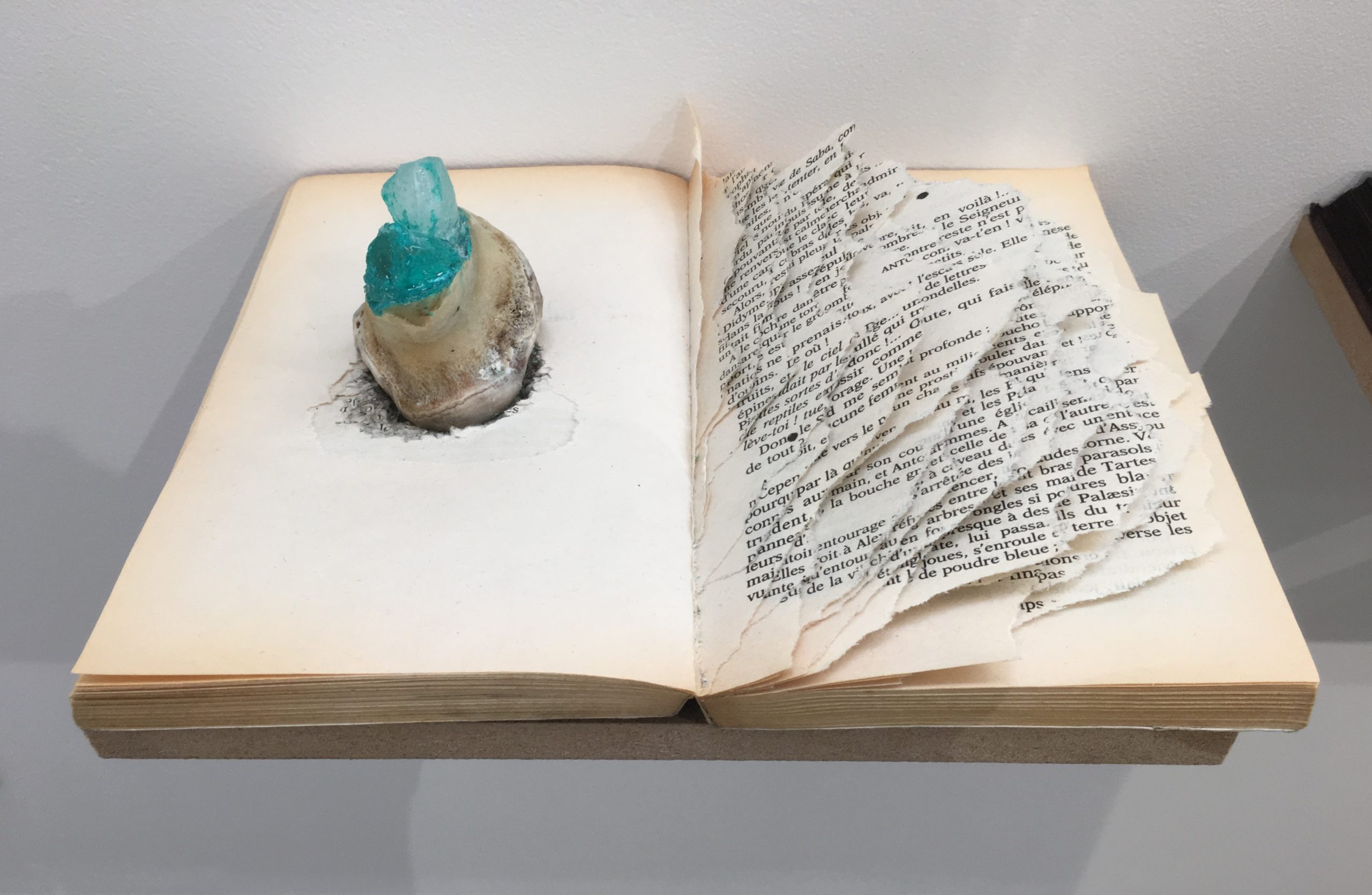 6 – Fossiles. Installation. Books, stone, bones, ink, thimble. Art Brussels. 2018