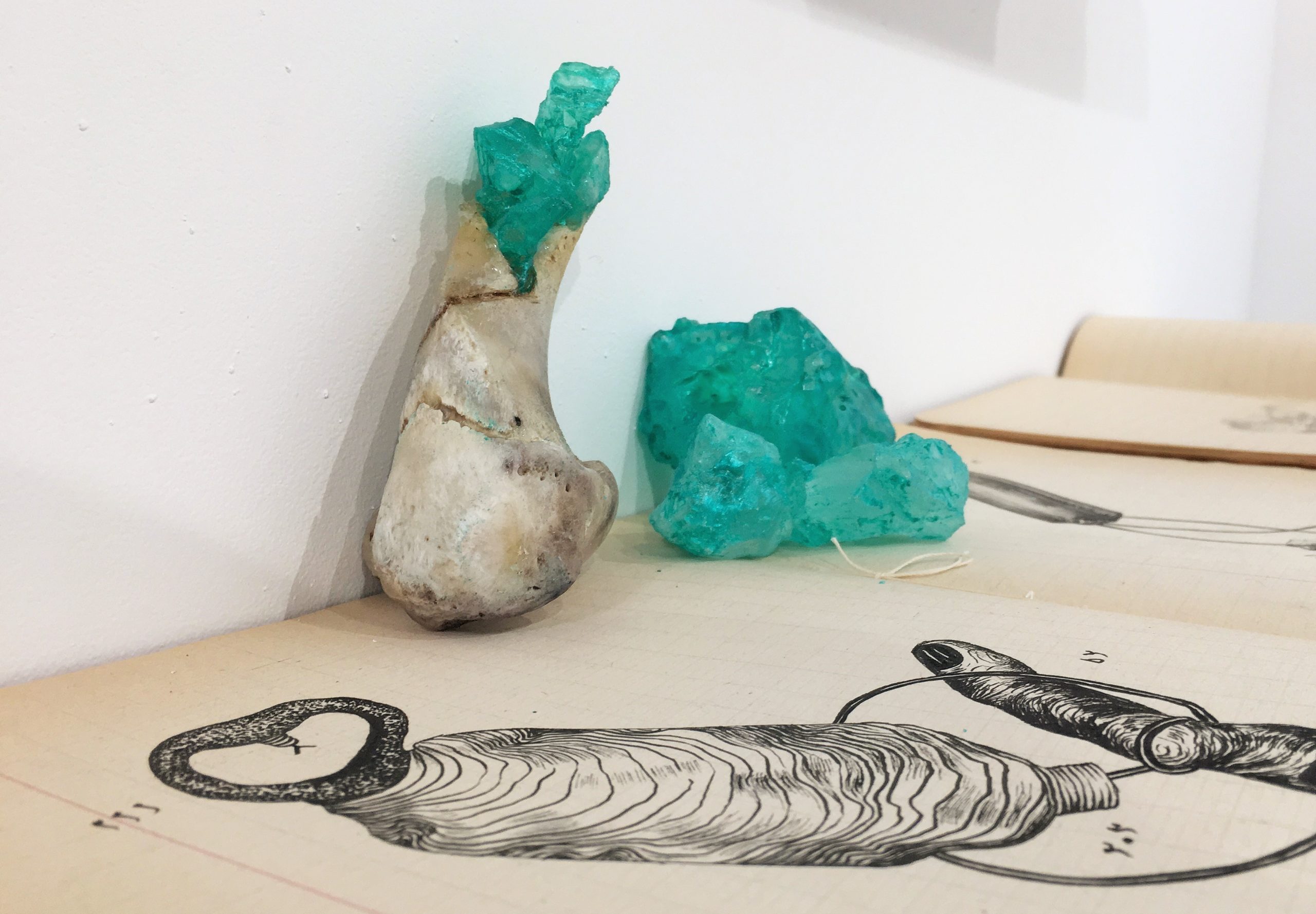 7 – Aïcha Snoussi -FOSSILES – Books, stone, bones, ink – Installation – Artbrussels 2018 (2)